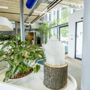 HET KRISTAL IN DE HAL