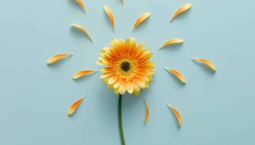 HSP tips