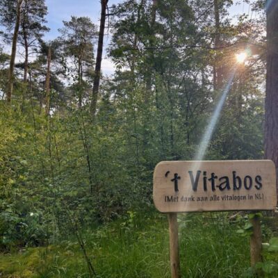 ‘t Vitabos het meest vitale bos van Brabant