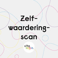 Zelfwaarderingscan