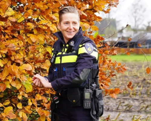 Jouw werkstress de baas